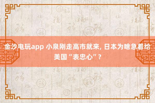 金沙电玩app 小泉刚走高市就来， 日本为啥急着给美国“表忠心”?