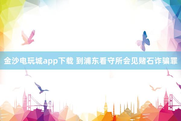 金沙电玩城app下载 到浦东看守所会见赌石诈骗罪