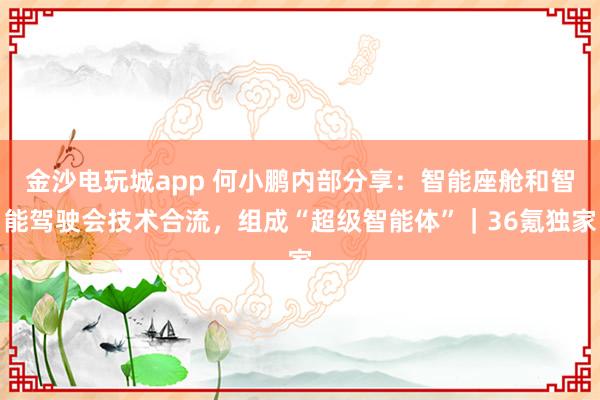 金沙电玩城app 何小鹏内部分享：智能座舱和智能驾驶会技术合流，组成“超级智能体”｜36氪独家